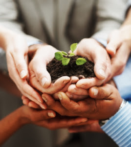 Business growth - Closeup of hands holding green plant indicating teamwork